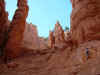 22_Navajo_Trail.jpg (179534 Byte)